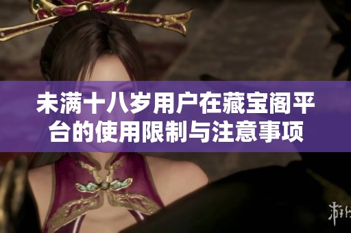 未满十八岁用户在藏宝阁平台的使用限制与注意事项