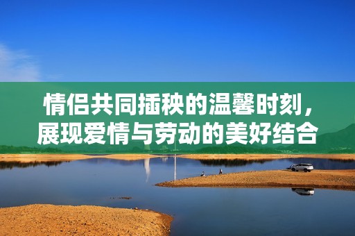 情侣共同插秧的温馨时刻，展现爱情与劳动的美好结合