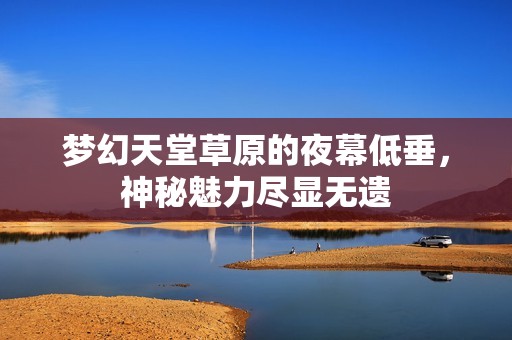 梦幻天堂草原的夜幕低垂，神秘魅力尽显无遗