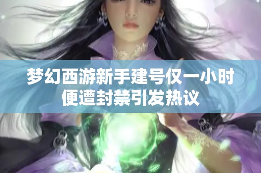 梦幻西游新手建号仅一小时便遭封禁引发热议