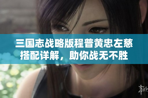 三国志战略版程普黄忠左慈搭配详解，助你战无不胜