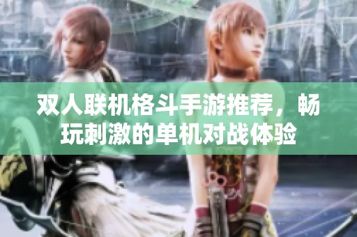 双人联机格斗手游推荐，畅玩刺激的单机对战体验