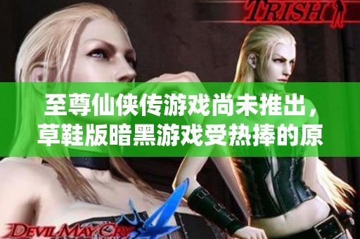 至尊仙侠传游戏尚未推出，草鞋版暗黑游戏受热捧的原因解析
