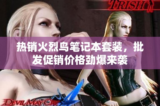 热销火烈鸟笔记本套装，批发促销价格劲爆来袭