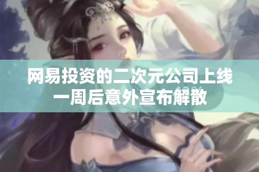 网易投资的二次元公司上线一周后意外宣布解散