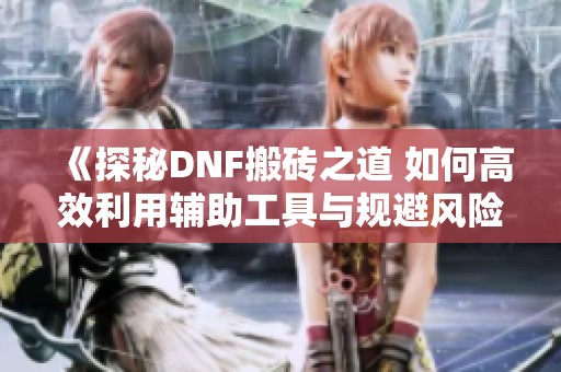 《探秘DNF搬砖之道 如何高效利用辅助工具与规避风险》