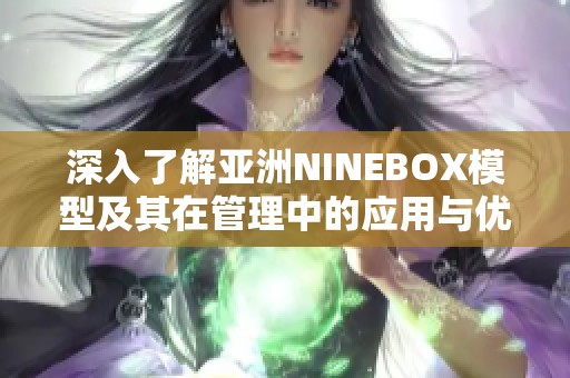 深入了解亚洲NINEBOX模型及其在管理中的应用与优势
