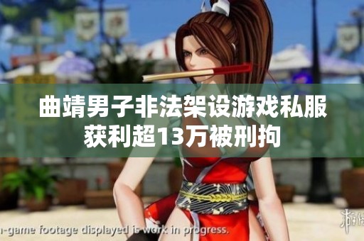 曲靖男子非法架设游戏私服获利超13万被刑拘
