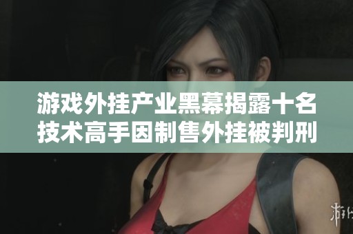 游戏外挂产业黑幕揭露十名技术高手因制售外挂被判刑