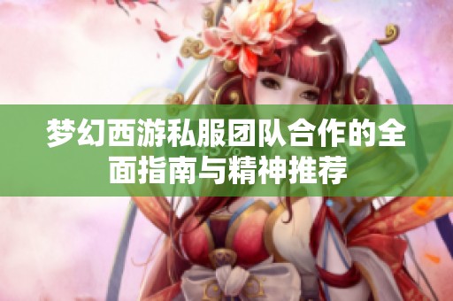 梦幻西游私服团队合作的全面指南与精神推荐