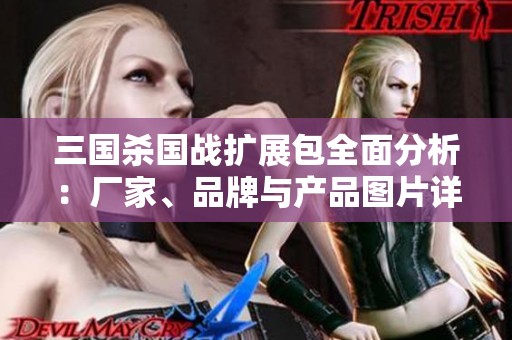 三国杀国战扩展包全面分析：厂家、品牌与产品图片详解