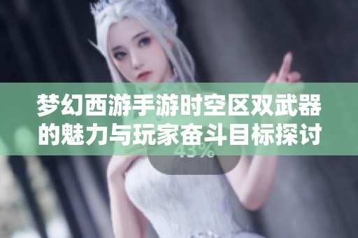 梦幻西游手游时空区双武器的魅力与玩家奋斗目标探讨