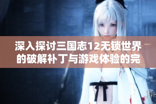 深入探讨三国志12无锁世界的破解补丁与游戏体验的完美结合
