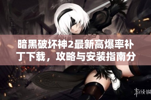 暗黑破坏神2最新高爆率补丁下载，攻略与安装指南分享