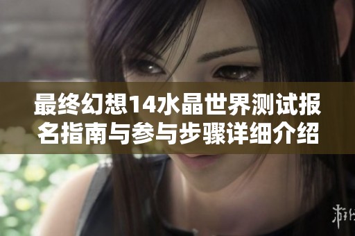 最终幻想14水晶世界测试报名指南与参与步骤详细介绍