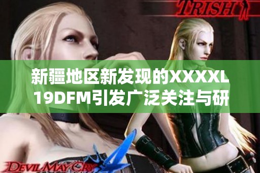 新疆地区新发现的XXXXL19DFM引发广泛关注与研究