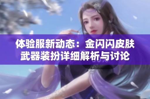 体验服新动态：金闪闪皮肤武器装扮详细解析与讨论
