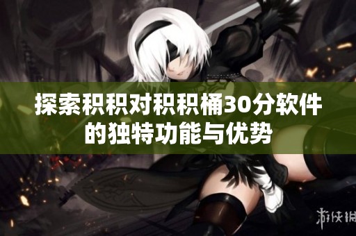 探索积积对积积桶30分软件的独特功能与优势