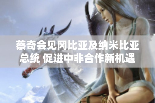 蔡奇会见冈比亚及纳米比亚总统 促进中非合作新机遇
