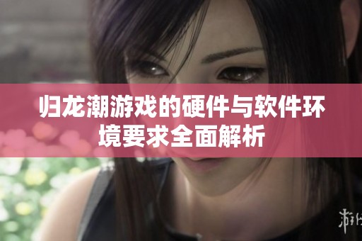 归龙潮游戏的硬件与软件环境要求全面解析