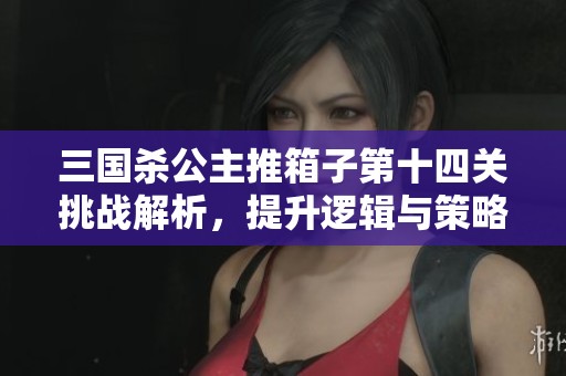 三国杀公主推箱子第十四关挑战解析，提升逻辑与策略能力