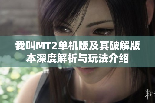 我叫MT2单机版及其破解版本深度解析与玩法介绍
