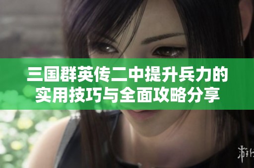 三国群英传二中提升兵力的实用技巧与全面攻略分享