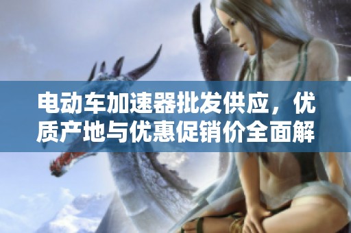 电动车加速器批发供应，优质产地与优惠促销价全面解析