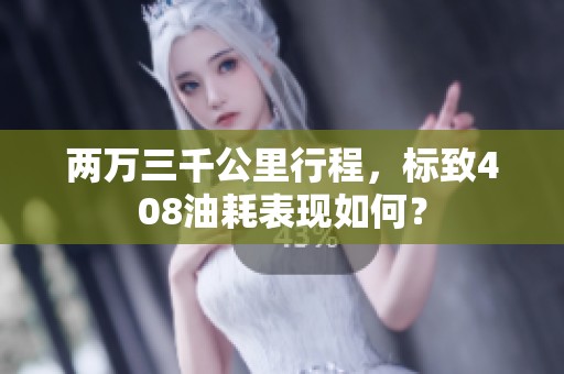 两万三千公里行程，标致408油耗表现如何？