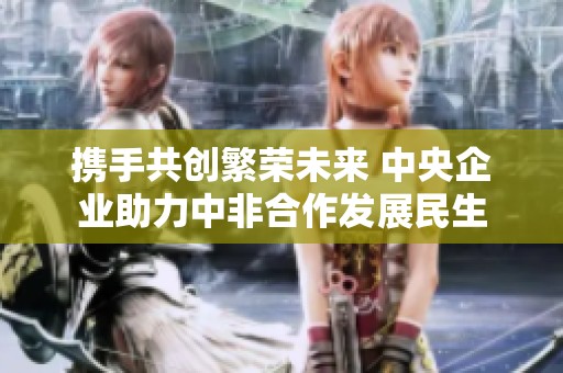 携手共创繁荣未来 中央企业助力中非合作发展民生