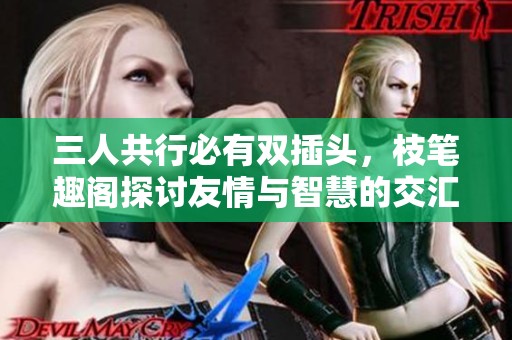 三人共行必有双插头，枝笔趣阁探讨友情与智慧的交汇