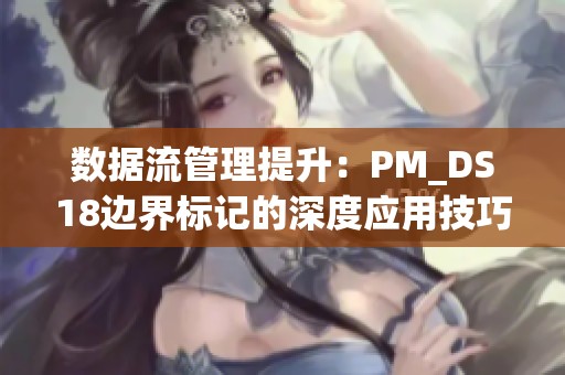 数据流管理提升：PM_DS18边界标记的深度应用技巧解析
