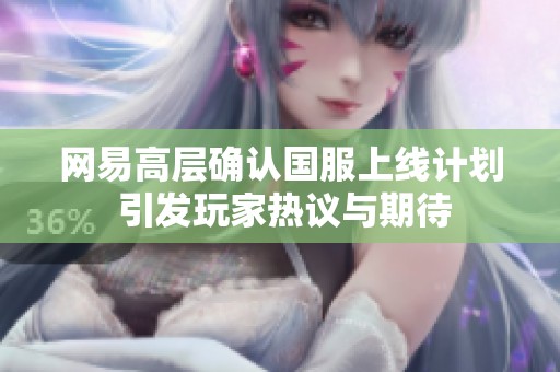 网易高层确认国服上线计划 引发玩家热议与期待