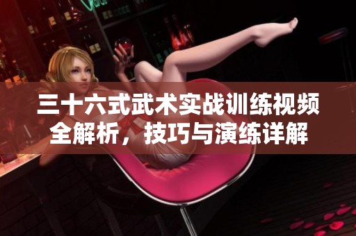 三十六式武术实战训练视频全解析，技巧与演练详解