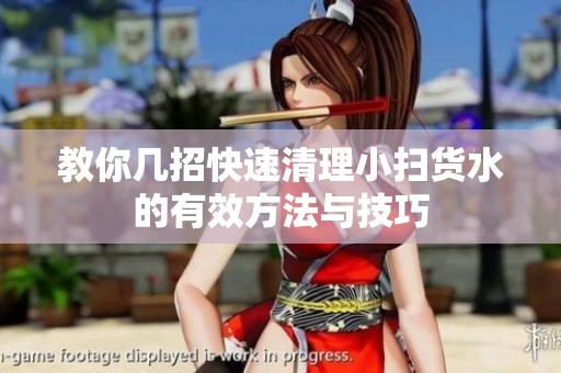 教你几招快速清理小扫货水的有效方法与技巧