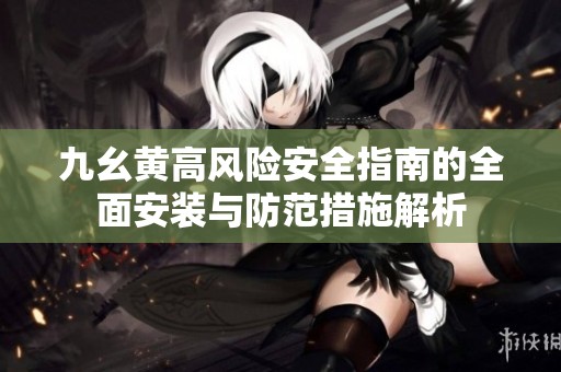 九幺黄高风险安全指南的全面安装与防范措施解析