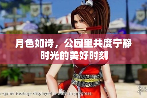 月色如诗，公园里共度宁静时光的美好时刻