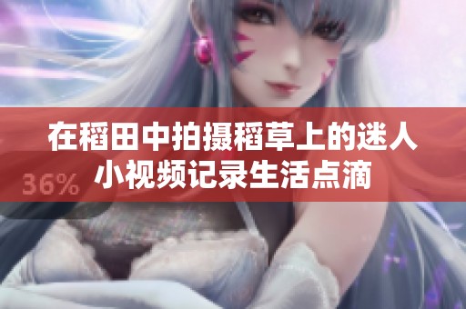 在稻田中拍摄稻草上的迷人小视频记录生活点滴