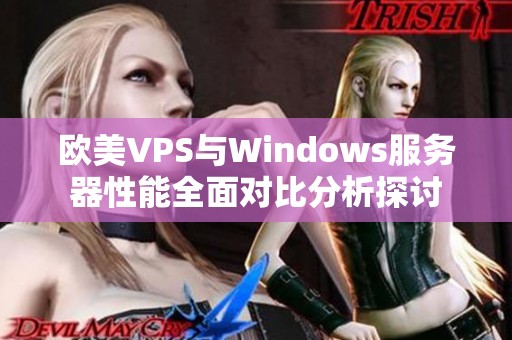 欧美VPS与Windows服务器性能全面对比分析探讨